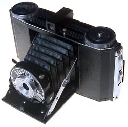 3/4 view of  Wirgin Junior