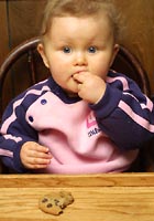 chocolate chip cookie monster