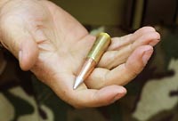 Wildcat cartridge