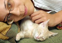 Two kittens at rest
