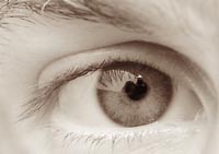 Marko's eye