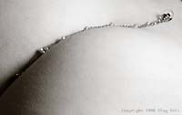 Curve