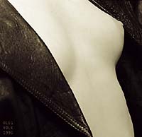 Torso, again