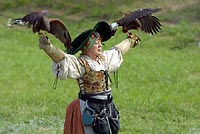 Two birds and falconer