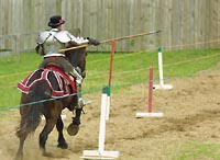 Cavalry charge