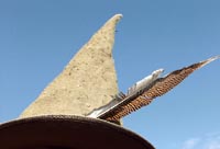 hat with feather