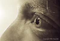 close-up of an eye