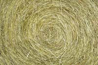 Haybale