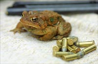 Armed Mister Toad