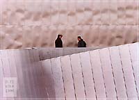 Two in a cityscape
